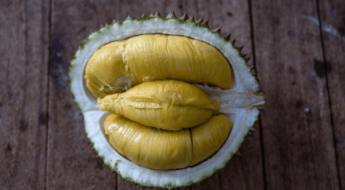 New durian center in Malaysia's Johor set to maintain year-round supply, steady prices