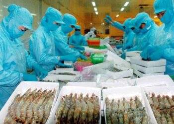 Nhanh chóng nắm bắt các xu hướng chính sách thương mại của EU để gia tăng xuất khẩu