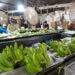 Passion fruit, banana, pineapple, coconut could be next billion-dollar exports