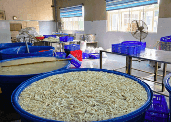 Phát hiện hơn 13 tấn chân gà ngâm hóa chất chuẩn bị tuồn thị trường