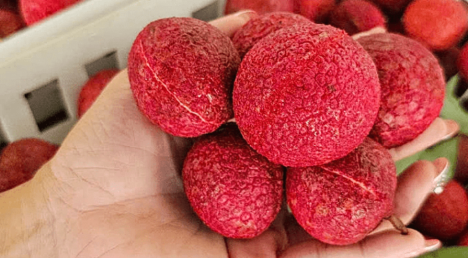 Rare seedless lychee hard to lay hands on despite prices doubling to $29 per kilogram