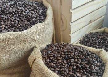 Robusta tăng, Arabica giảm, Việt Nam xuất khẩu lập kỷ lục khó tin