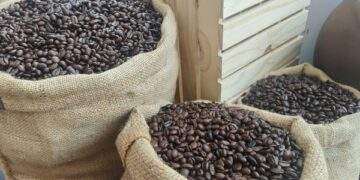 Robusta tăng, Arabica giảm, Việt Nam xuất khẩu lập kỷ lục khó tin