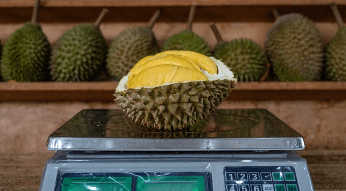 Singaporeans cross border in droves for Malaysian durian tours, all-you-can-eat buffets