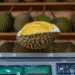 Singaporeans cross border in droves for Malaysian durian tours, all-you-can-eat buffets