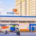 Sở Công Thương báo cáo gì?