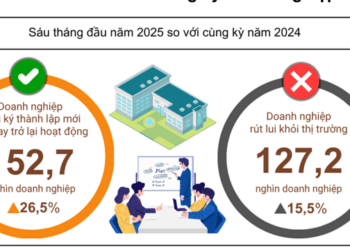 Sóng khởi nghiệp mạnh mẽ, doanh nghiệp thành lập mới tháng 6/2025 tăng cao