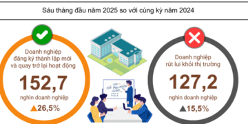 Sóng khởi nghiệp mạnh mẽ, doanh nghiệp thành lập mới tháng 6/2025 tăng cao
