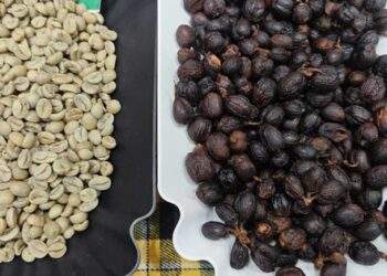 Trong nước cao hơn thế giới 12.000 đồng/kg