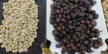 Trong nước cao hơn thế giới 12.000 đồng/kg