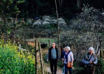 Từ chối vận chuyển ma túy, Tráng A Chu làm nên homestay tiền tỷ nơi rẻo cao