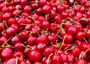 US cherry prices hit record lows in Vietnam