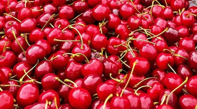 US cherry prices hit record lows in Vietnam