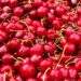 US cherry prices hit record lows in Vietnam