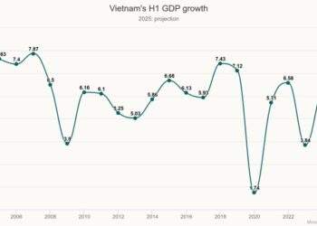 Vietnam posts fastest GDP growth in nearly 2 decades