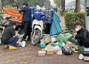 Vietnamese consumers spend $7.8B on online shopping in H1