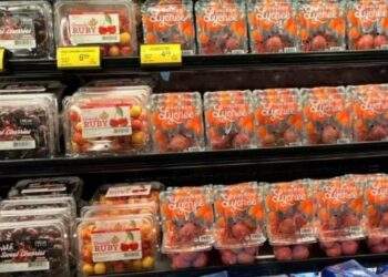 Vietnamese lychees debut at leading US retail giant Costco