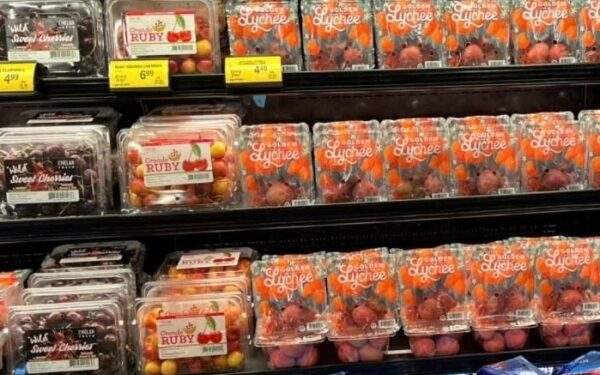 Vietnamese lychees debut at leading US retail giant Costco