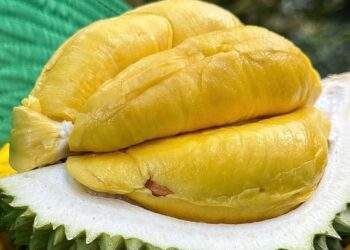 Why Vietnam imported $9M worth of durian despite being major producer