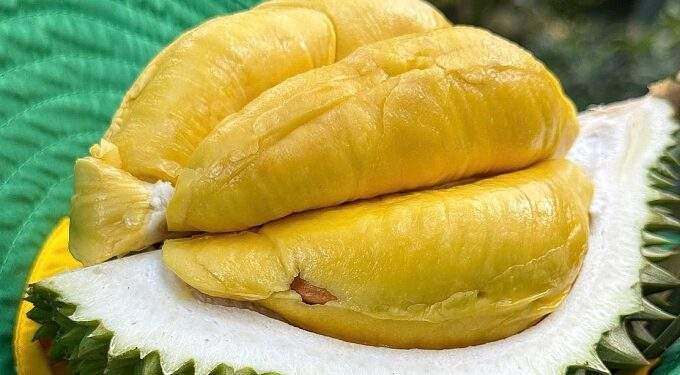 Why Vietnam imported $9M worth of durian despite being major producer