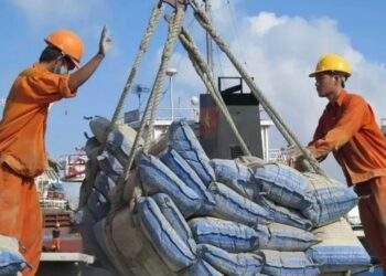 Xi măng, clanhke Việt Nam xuất khẩu sang Đài Loan chịu mức thuế chống bán phá giá trong 5 năm