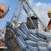 Xi măng, clanhke Việt Nam xuất khẩu sang Đài Loan chịu mức thuế chống bán phá giá trong 5 năm