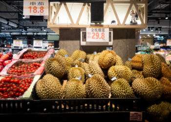 Cambodian durians make first direct flight to China