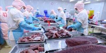 “Chạy đua” với thuế đối ứng, xuất khẩu thủy sản tăng hơn 17%