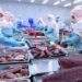 “Chạy đua” với thuế đối ứng, xuất khẩu thủy sản tăng hơn 17%