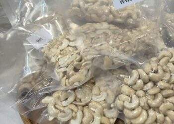 Doanh nghiệp Việt ứng phó với thuế đối ứng Mỹ trong ngành nông sản xuất khẩu