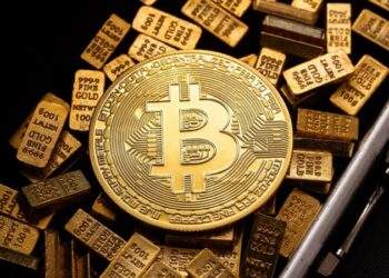 Đồng coin nào thu hút nhà đầu tư Việt?