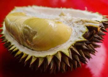 Durian revival drives Vietnam’s fruit and vegetable exports to $3.9B in 7 months