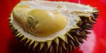 Durian revival drives Vietnam’s fruit and vegetable exports to $3.9B in 7 months