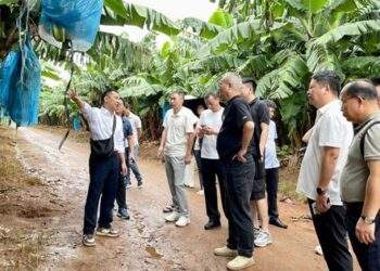 Gia Lai mở rộng xuất khẩu nông sản vào thị trường Trung Quốc năm 2025