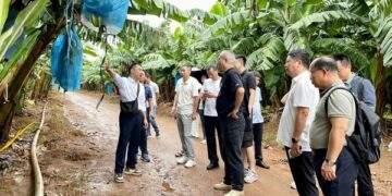 Gia Lai mở rộng xuất khẩu nông sản vào thị trường Trung Quốc năm 2025