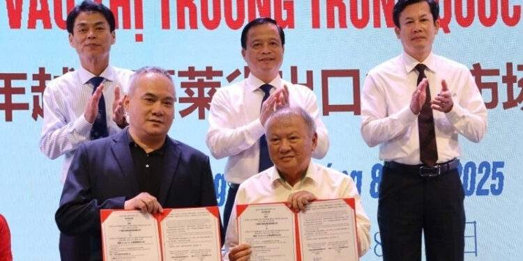 Gia Lai xúc tiến xuất khẩu nông sản sang thị trường Trung Quốc