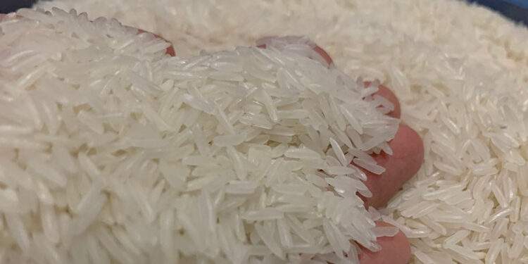 Giá gạo giảm sâu, doanh nghiệp Việt Nam chi 1 tỷ USD nhập khẩu về
