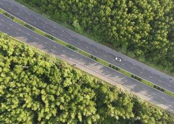 HCMC's mangrove area authorities seeks full subsidies for locals to switch to electric bikes