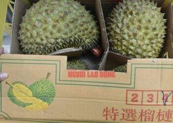 Ngăn ngừa chất vàng O độc hại