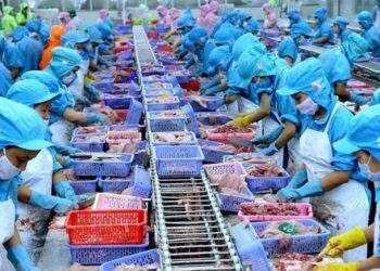 Ngành thủy sản Việt Nam đang "để trống sân nhà”