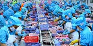 Ngành thủy sản Việt Nam đang "để trống sân nhà”