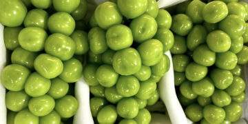 Nho sữa Trung Quốc loại bình dân chỉ còn 15.000 đồng/kg, ngang với mớ rau