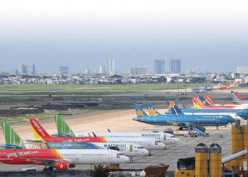Tăng cường kiểm soát chim tại các sân bay để bảo đảm an toàn bay