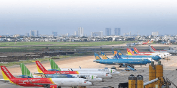 Tăng cường kiểm soát chim tại các sân bay để bảo đảm an toàn bay