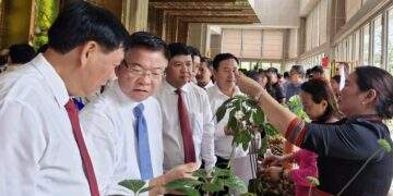 Tập đoàn Trường Hải nghiên cứu, chế biến sâm Ngọc Linh