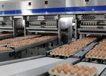 Thị trường chao đảo, Hoà Phát vẫn đều đều 1 triệu quả/ngày, báo lãi tăng 135%
