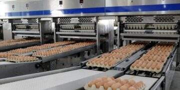Thị trường chao đảo, Hoà Phát vẫn đều đều 1 triệu quả/ngày, báo lãi tăng 135%