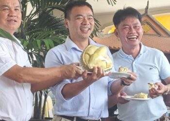 Tin nóng từ Hoàng Anh Gia Lai