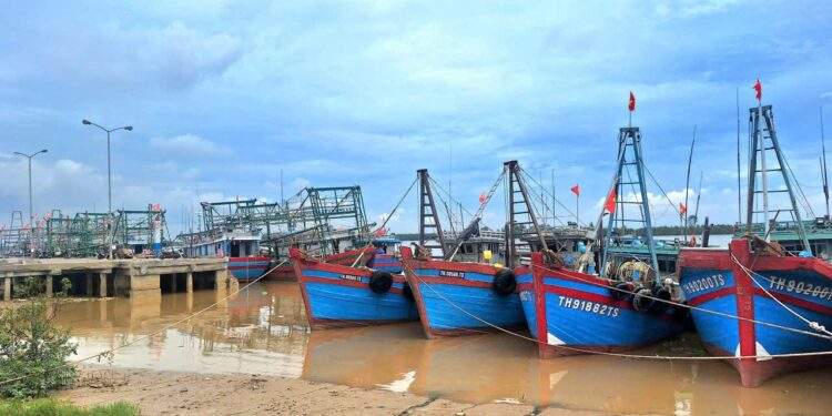Triển khai có hiệu quả một số chính sách phát triển ngành thủy sản