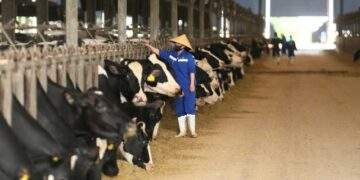 Việt Nam cần tiến tới tự chủ nguồn sữa tươi nguyên liệu nội địa